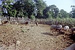 NRK_Ph_42389